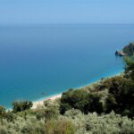 Pelion Homes Roots Yoga Hamburg Retreat